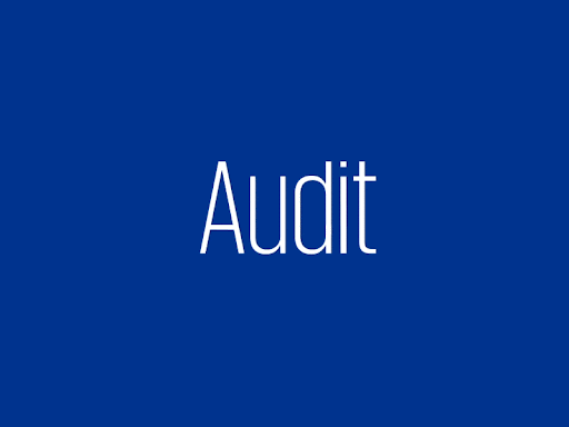 Audit & IRS Support